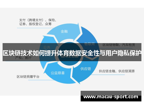 区块链技术如何提升体育数据安全性与用户隐私保护